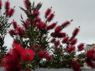 DSC02877.jpg