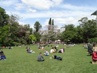 DSC03934.jpg