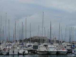 DSC02913.jpg