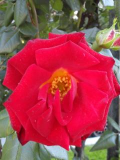 DSC03051.jpg