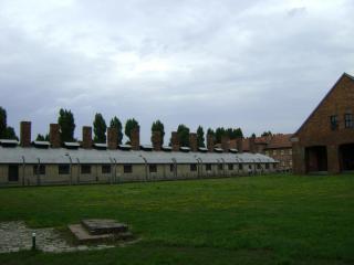 DSC01414.JPG