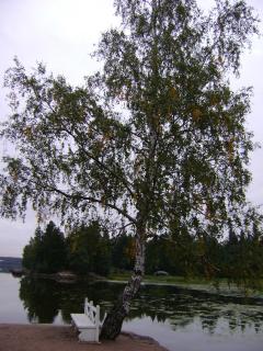 DSC01002.JPG