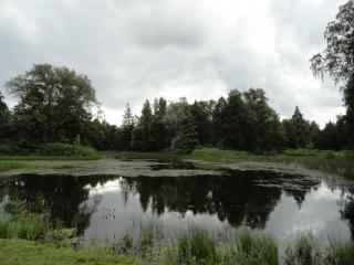DSC05155.JPG