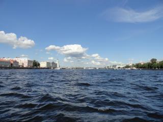 DSC05578.JPG