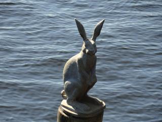 DSC05675.JPG