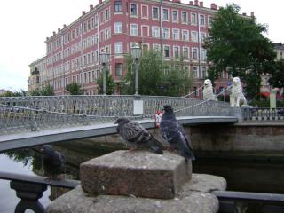 DSC01075.JPG