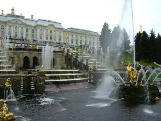DSC08227.JPG