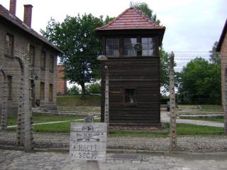 DSC01425.JPG