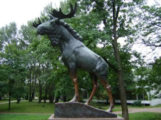 DSC01053.JPG