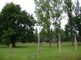 DSC01434.JPG