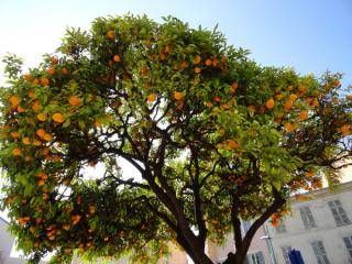 DSC03056.jpg