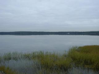 DSC01008.JPG