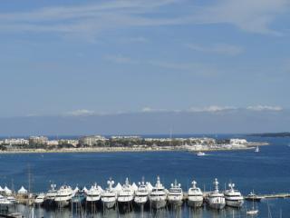 DSC02778.jpg