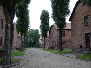 DSC01421.JPG