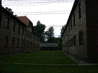 DSC01424.JPG