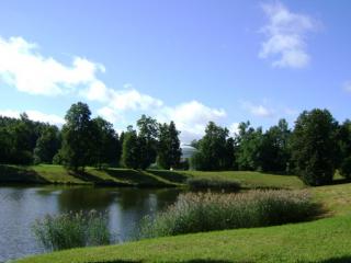 DSC04367.jpg