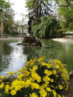 DSC02726.jpg
