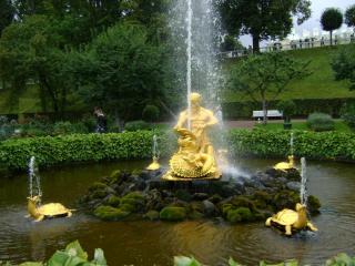 DSC08187.JPG