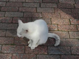 DSC05249.JPG