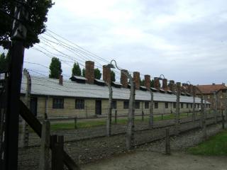 DSC01416.JPG