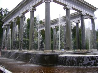 DSC08241.JPG