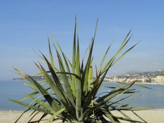 DSC02997.jpg
