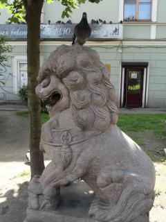 DSC05501.JPG