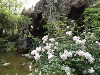 DSC02709.jpg