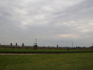 DSC01429.JPG