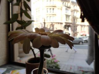 DSC05877.JPG