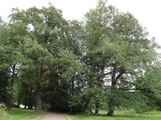DSC05151.JPG