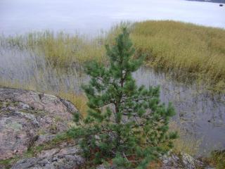 DSC01007.JPG