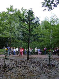 DSC04686.JPG