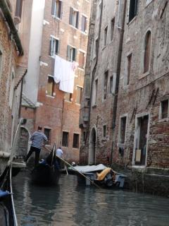 DSC03638.jpg