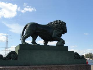 DSC05850.JPG