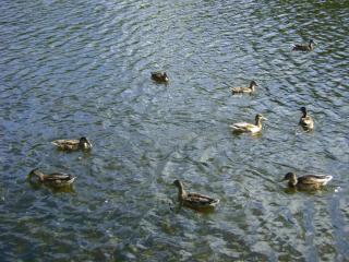 DSC04359.JPG
