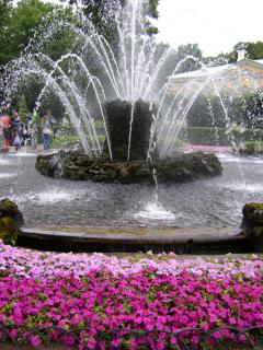 DSC04728.JPG
