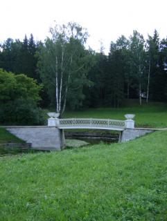 DSC04338.jpg