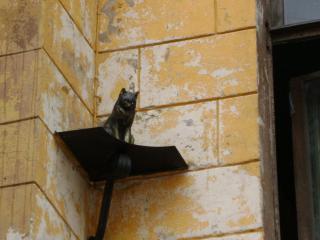 DSC04537.JPG