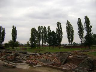 DSC01438.JPG