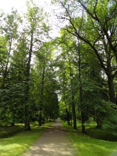 DSC05131.JPG