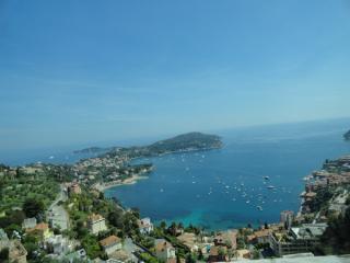 DSC03175.jpg