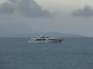 DSC02918.jpg