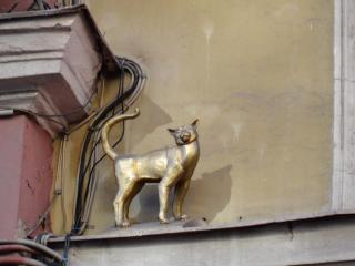 DSC04991.JPG