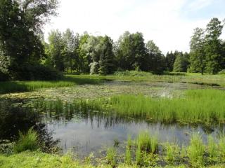 DSC05115.JPG