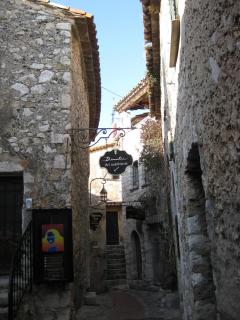 IMG_4363.jpg