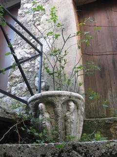 IMG_4368.jpg