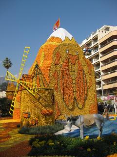 IMG_4417.jpg