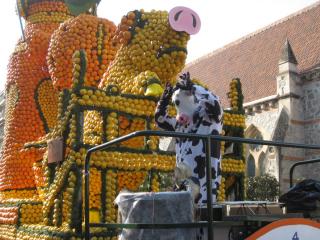 IMG_4438.JPG