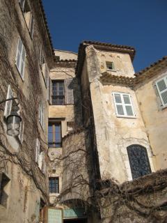 IMG_4378.jpg